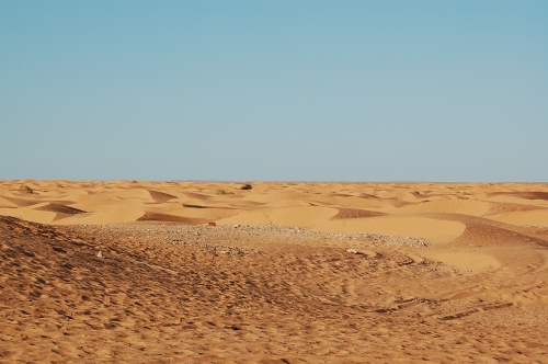 Sahara view.