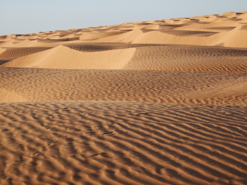 Sahara.