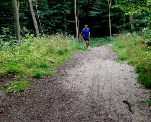 Halvorsen trail