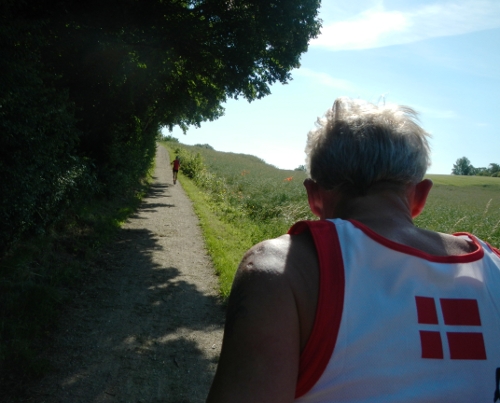 Vildhøj maraton