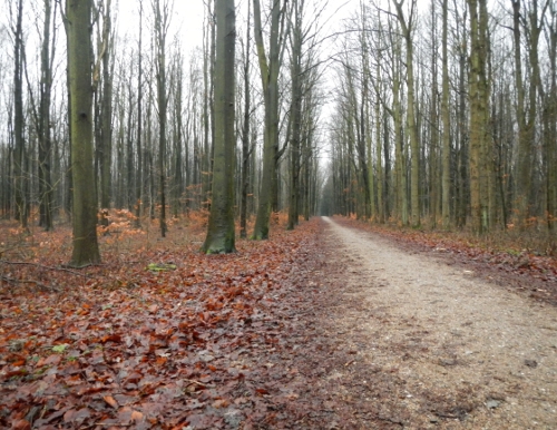 Vestvoldsmaraton