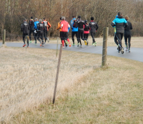 Maraton i Strandparken