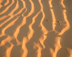 Saharaløb