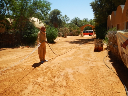 100 km del Sahara