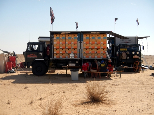 100 km del Sahara