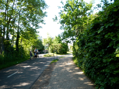 Kbh21