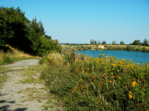 StreetCommander Trail Marathon