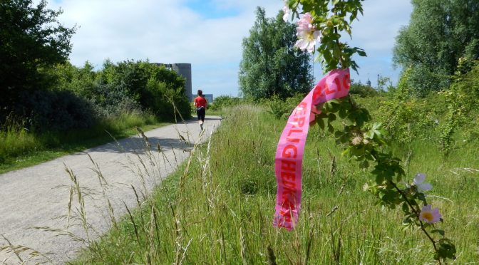 Toppen af Nokken : Varm dag ved havnen