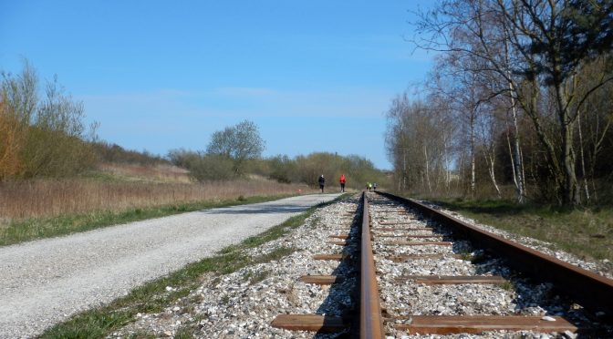 Hedelands naturtrail : Trailbilleder