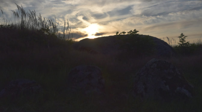 Aftensol over langhøj