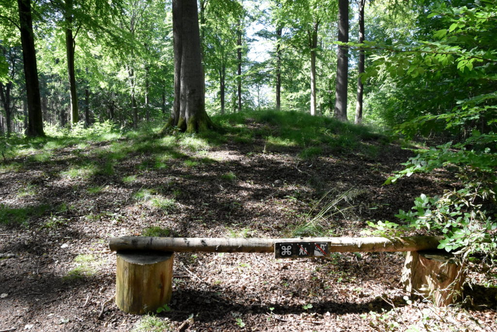 Langhøj i skov, foran højen skidt der angiver seværdighed og cykling forbudt