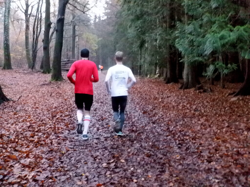 To løbere på en vej dækket af visne blade i en skov