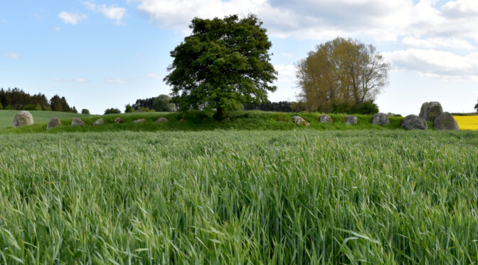 Busemarke langdysse