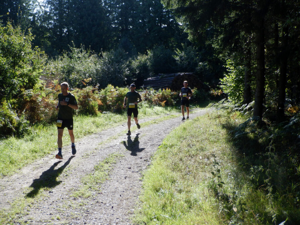 Tre løbere på en gruset skovvej.