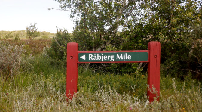 Råbjerg Mile