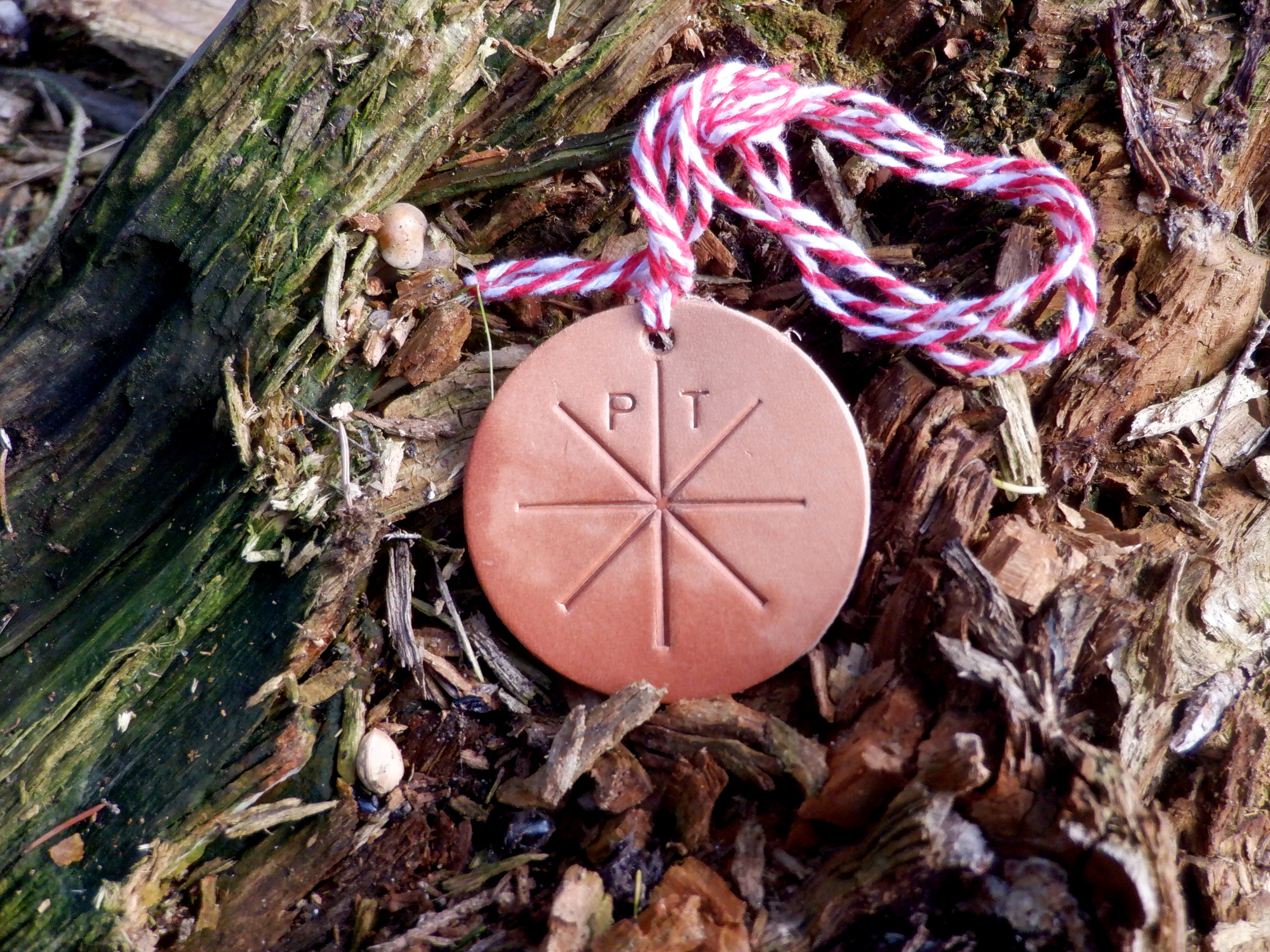 Medaljen af læder i skovbunden